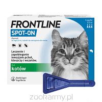 Frontline SPOT-ON Kot 1 pipeta na kleszcze i pchły